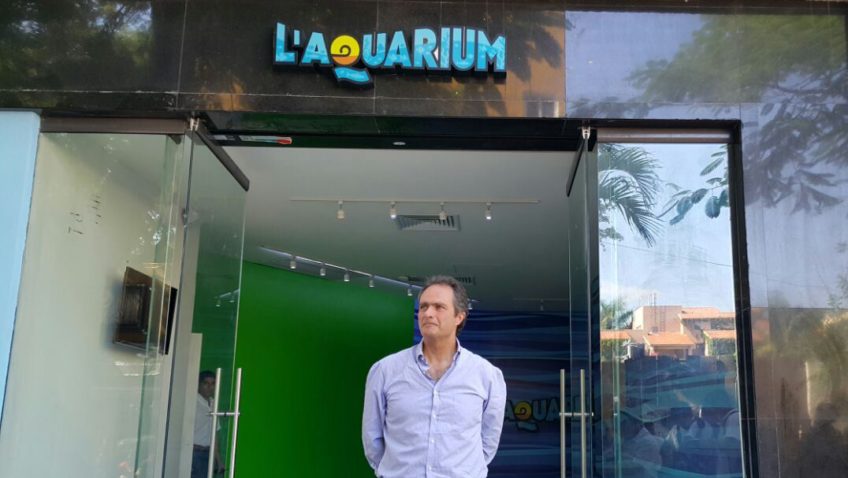 Blue Life USA Blocco Di Sicurezza Singolo - Protezione Antifurto Per Oggetti Di Valore